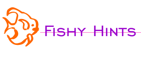 Fishy Hints